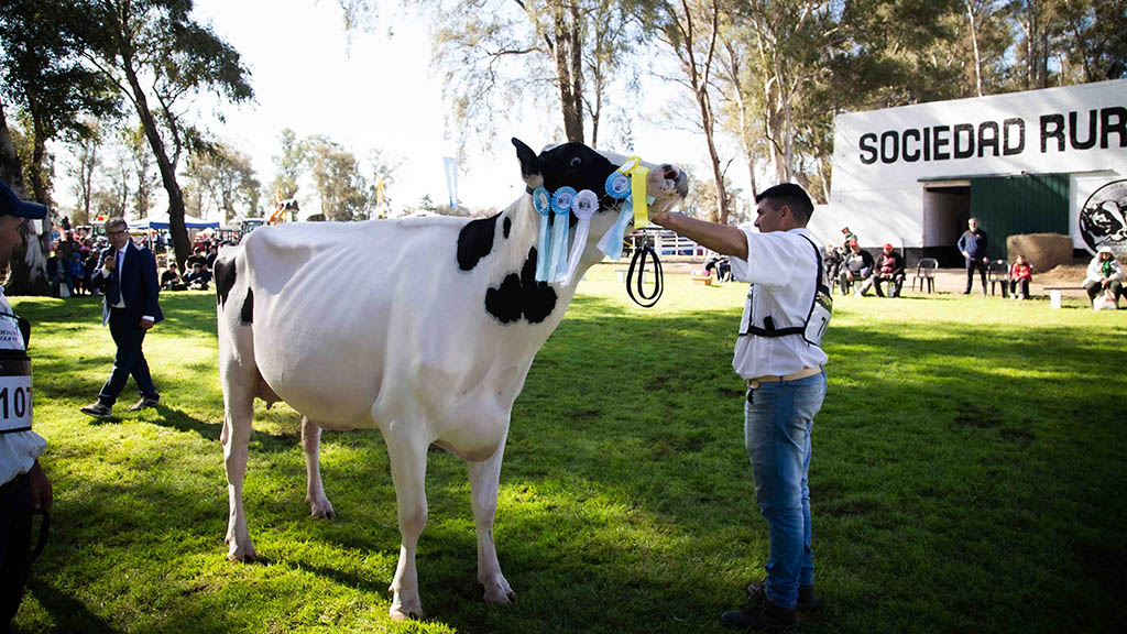 MECA25: La Campeona Suprema de la Fiesta Nacional del Holando es de Santa Fe